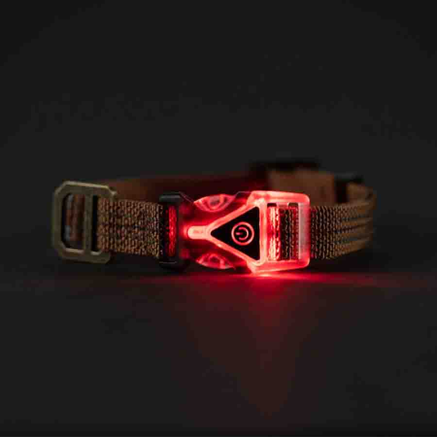 Carhartt LIGHTED DOG Collar - BROWN