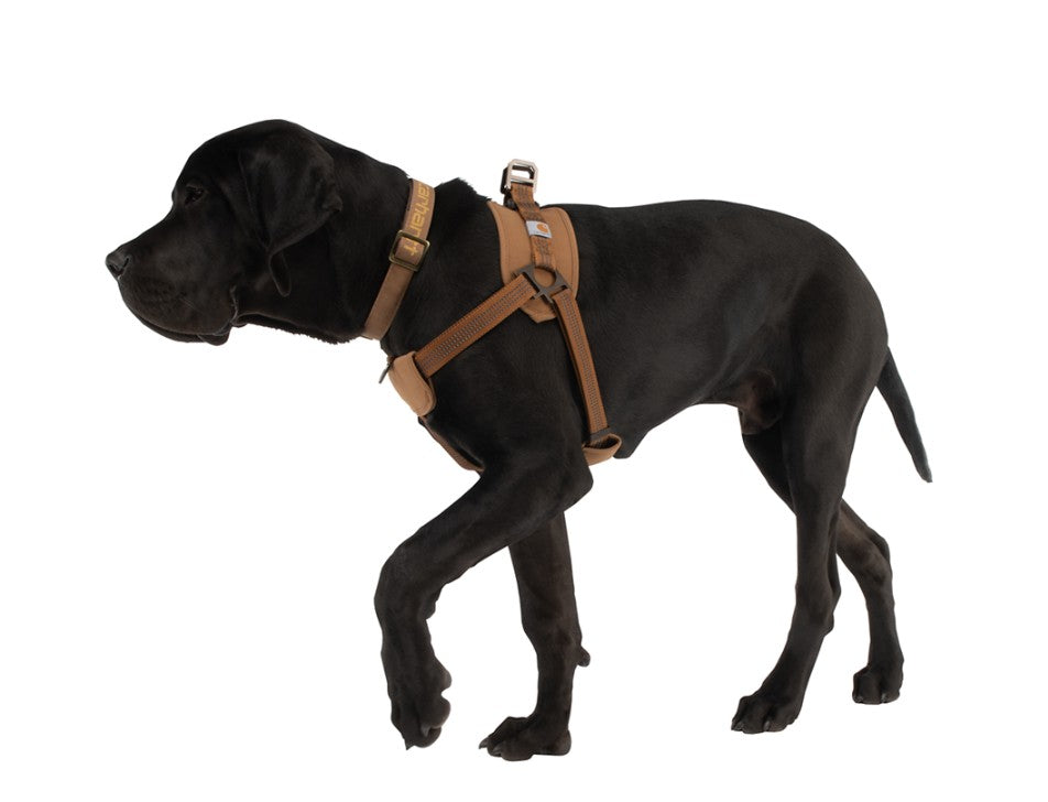 Carhartt for Dogs