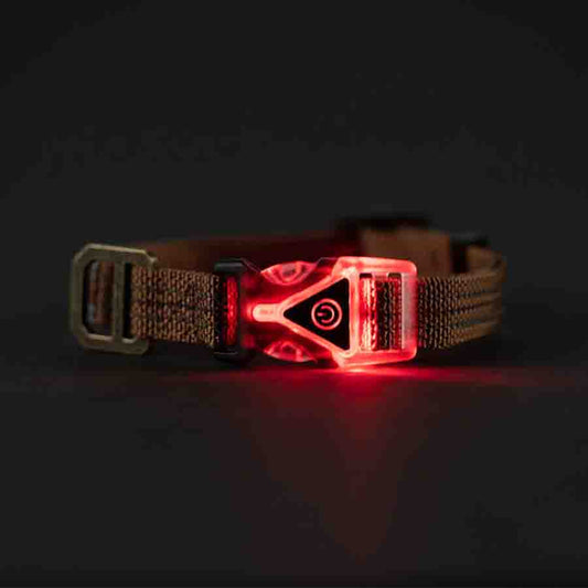 Carhartt LIGHTED DOG Collar - BROWN